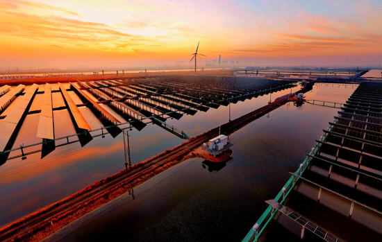 中国国际石油化工大会观察与思考